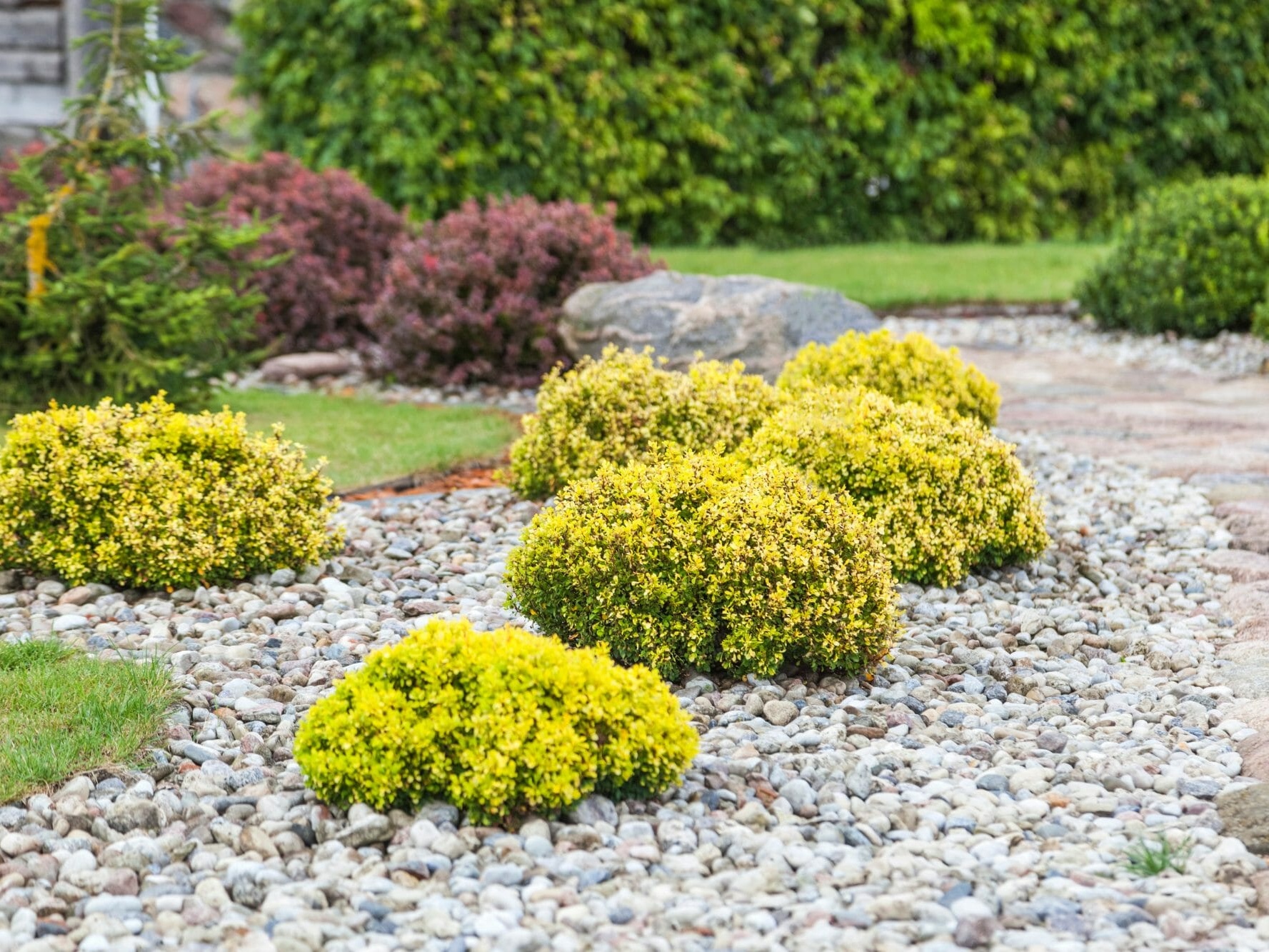 Beautiful professionally landscaped yard